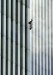 v zábere osoba letiaca z WTC